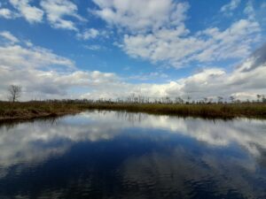 scenic picture of protected land from Ferry Pass Bayou