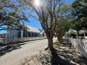 Beautiful trees and sky with historic chuch in downtown Pensacola